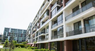 Piso reformado en Monte Alto